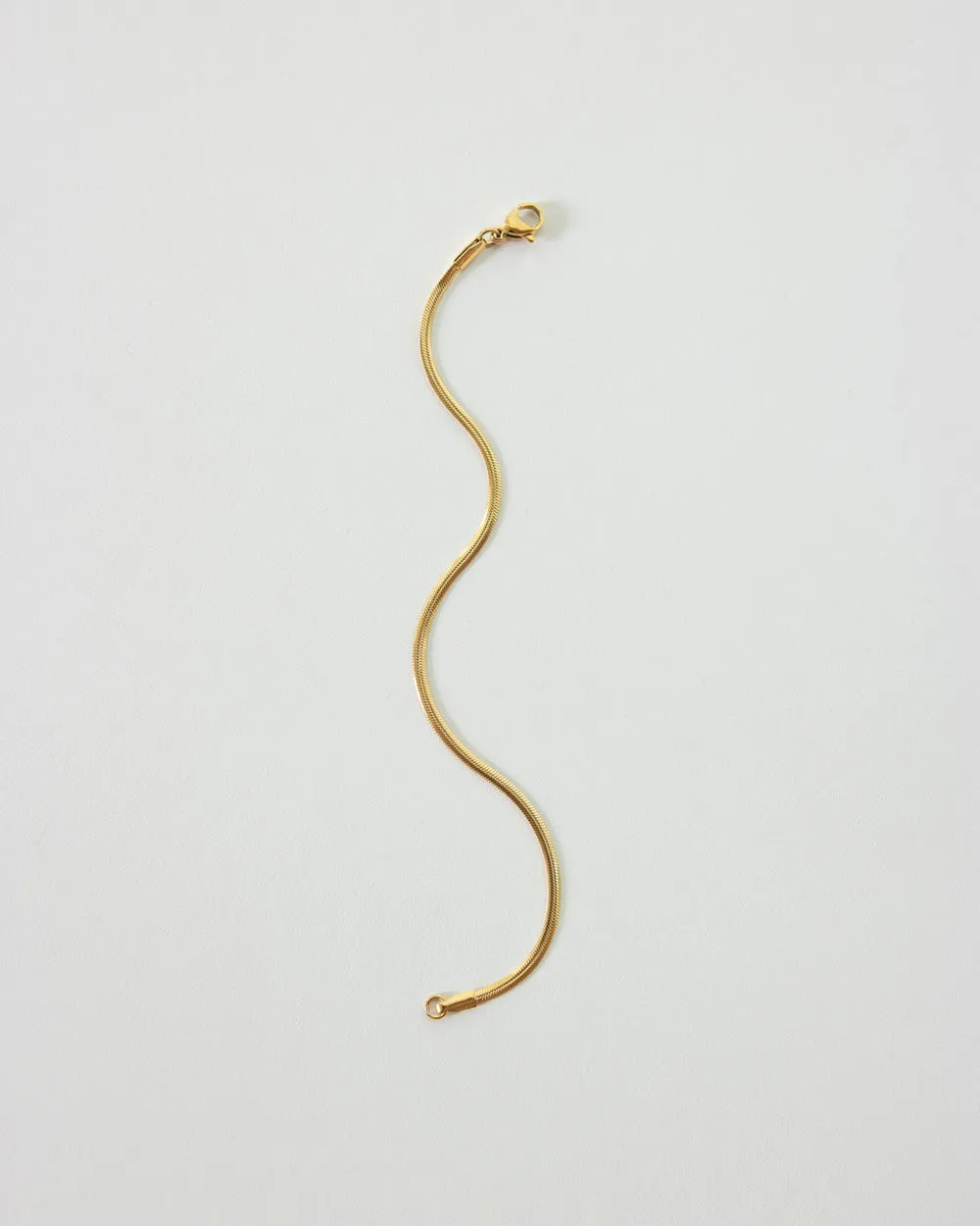 REPTILE Chain Bracelet