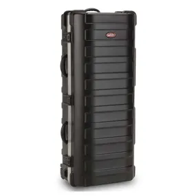 SKB Double ATA Travel Case 2024