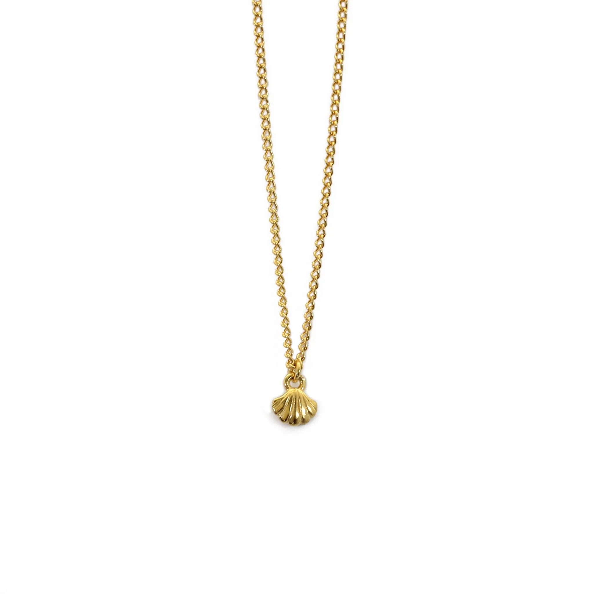 Wing Tiny Shell Necklace