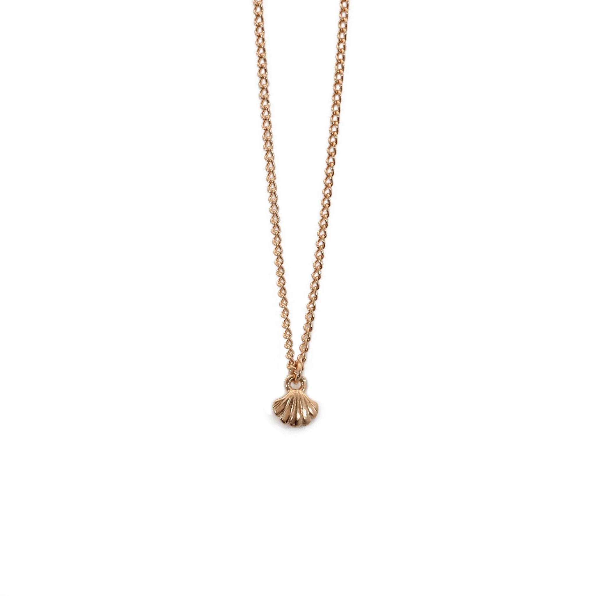 Wing Tiny Shell Necklace